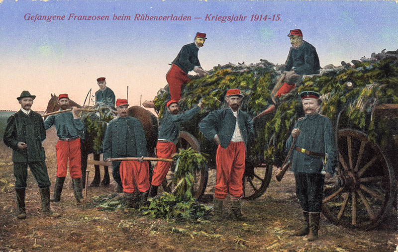 Gefangene Franzosen im Ernteeinsatz, 1915 (Bernd Voigtländer): Die Kriegsgefangenen übernahmen das Tätigkeitsfeld der eingezogenen Landwirte, männlichen Familienmitglieder, Knechte und Tagelöhner.