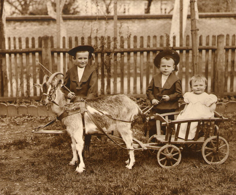 Herbert, Felix und Marianne Rost, 1907