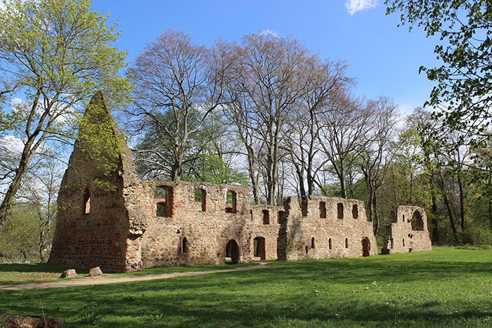 Kloster Nimbschen