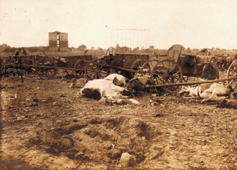 Nach den Kämpfen bei Brest-Litowsk, August 1915. Im Vordergrund sieht man Pferde, die während der Kampfhandlungen getötet wurden.