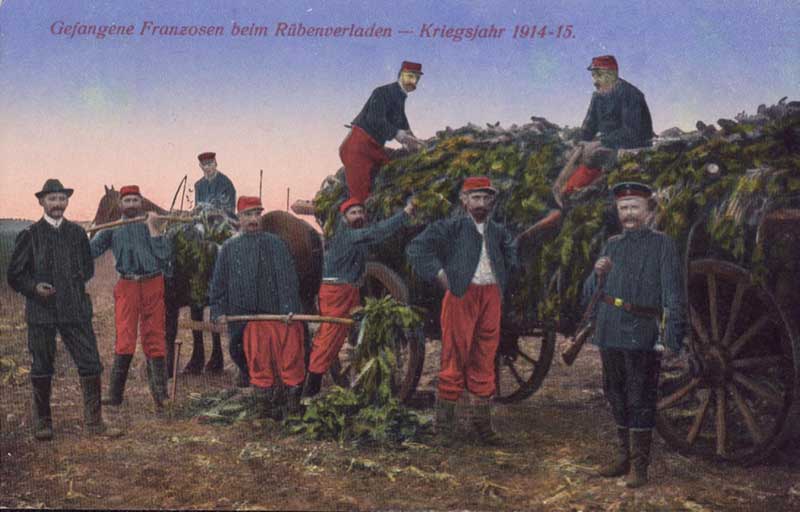 Französische Kriegsgefangene bei der Ernte, 1914/15. Zur Erntezeit wurden viele Gefangene von ihren Arbeitsstätten in Industrie und Bergbau abgezogen, um in der Landwirtschaft zu helfen.
